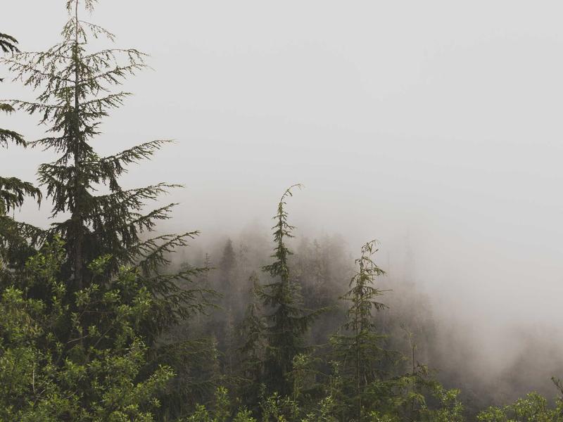 一人食光<br>lys7ijqq.cn 孤独的美食家